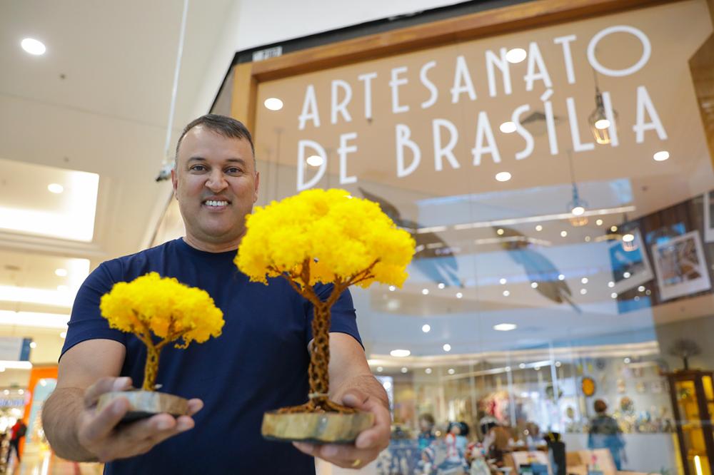 Capa da notícia: Floração dos ipês que colorem o Distrito Federal inspira artesãos da capital